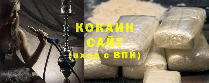 Cocaine Fish Scale  MEGA зеркало  Чехов  дарнет шоп 